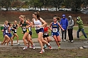 2010NCSXC GD1-1243